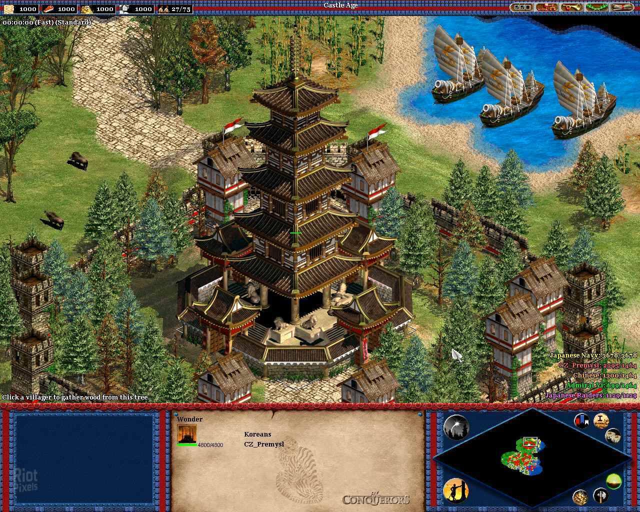 age of empires 2 the conquerer