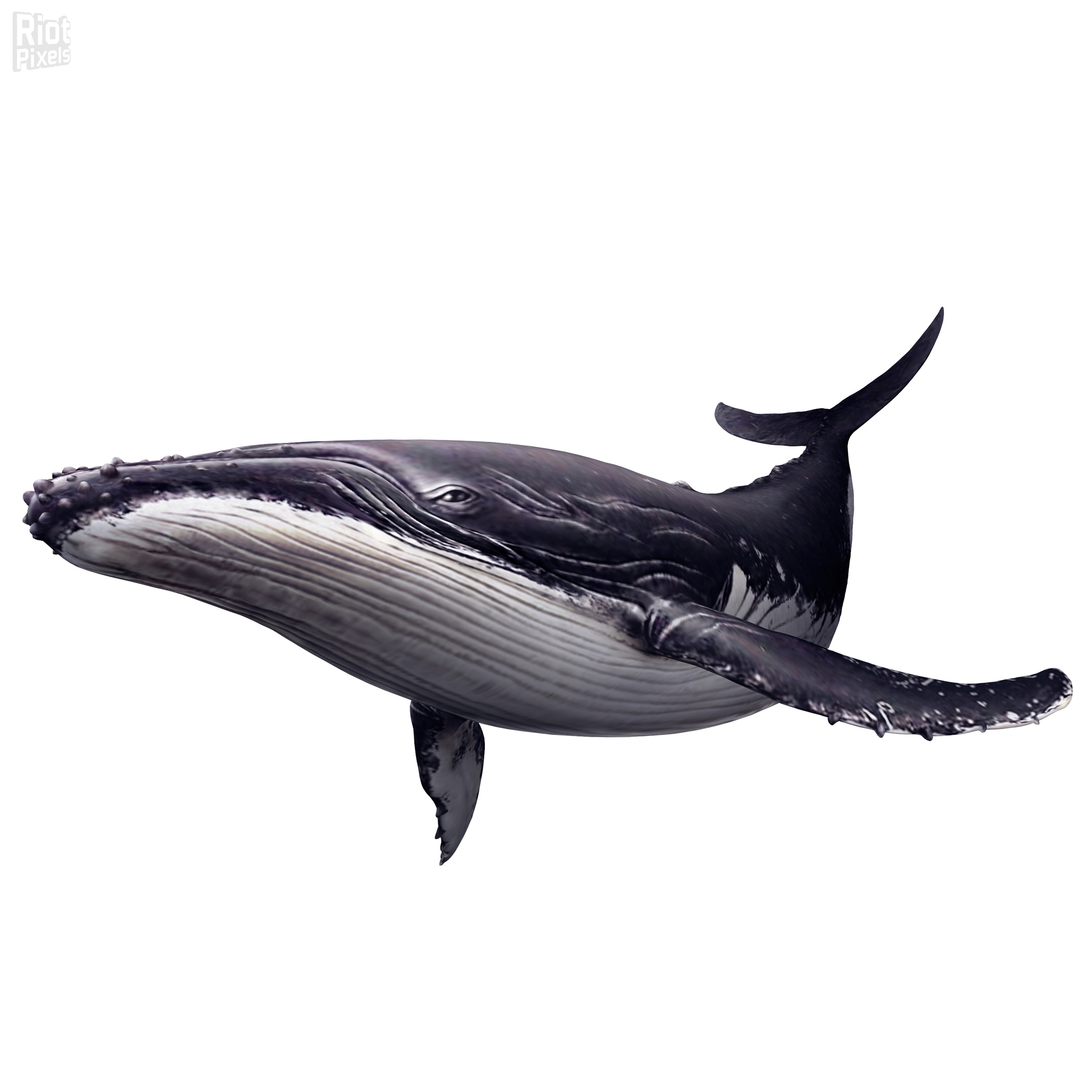 endlessoceanblueworld