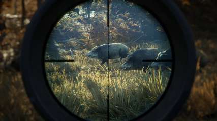 TheHunter Call of the Wild 31 DLCs Download Torrent